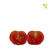 Plant Tomate Cerise Rouge Zuckertaube bio